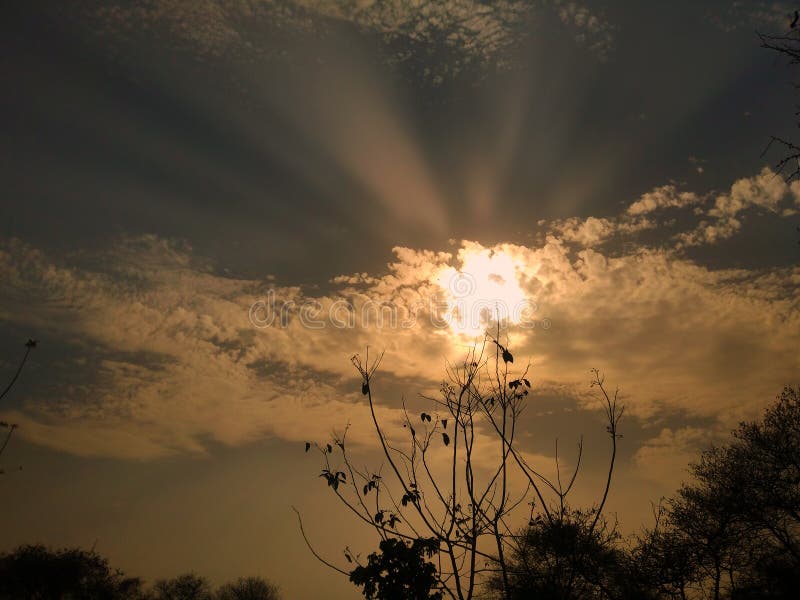 Ein schöner Sonnenuntergang am Park hinter dem Baum , lizenzfreie stockfotografie Ein schöner Sonnenuntergang am Park hinter dem Baum , lizenzfreie stockfotografie
