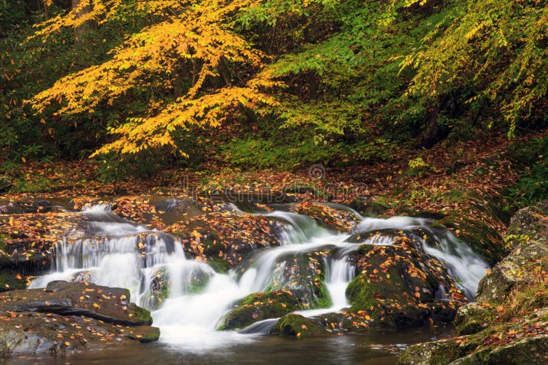 A beautiful waterfall in smoky mountain National Park. A beautiful waterfall in smoky mountain National Park