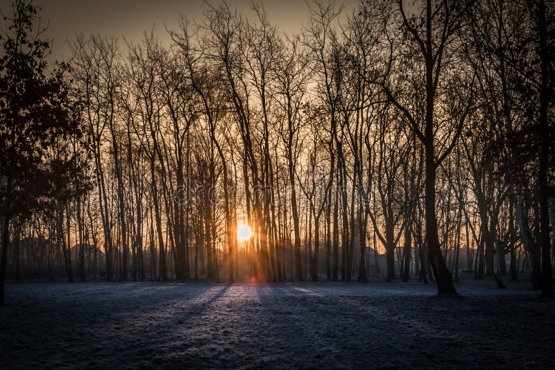 Ein Sonnenaufgang des frühen Morgens während des Winters in einer gefrorenen Kälte und in einem Schnee lizenzfreies stockbild Ein Sonnenaufgang des frühen Morgens während des Winters in einer gefrorenen Kälte und in einem Schnee lizenzfreies stockbild