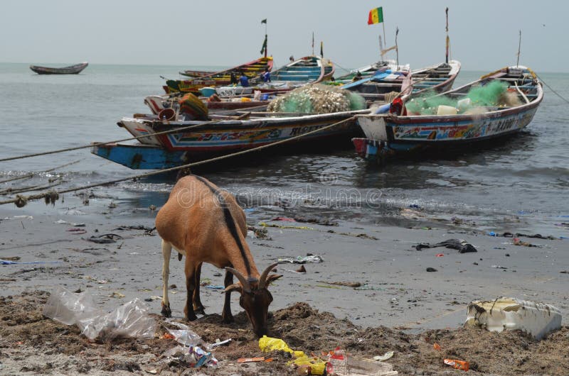Ein Strand bedeckt durch Plastik- Sänfte im zierlichen CÃ'te von Senegal, West-Afrika