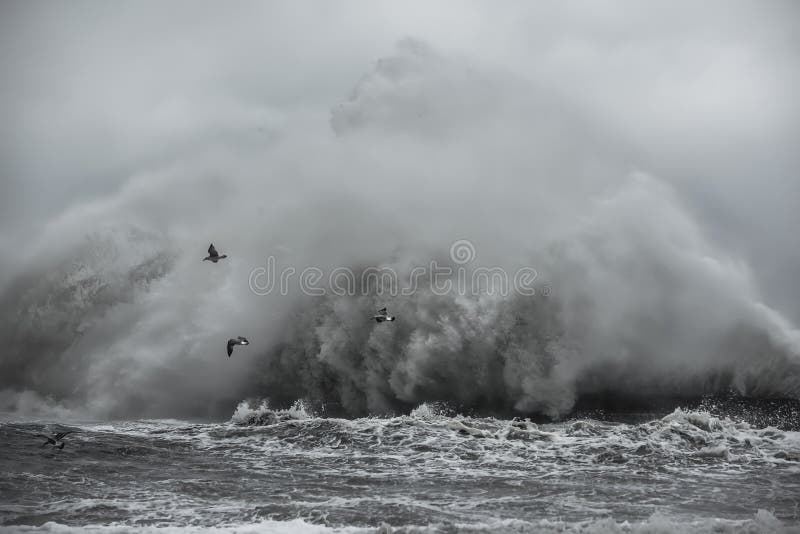 Ein Sturm Am Meer Am Ozean An Einer Riesenwelle Und An Den Seemowen Stockbild Bild Von Ozean Sturm