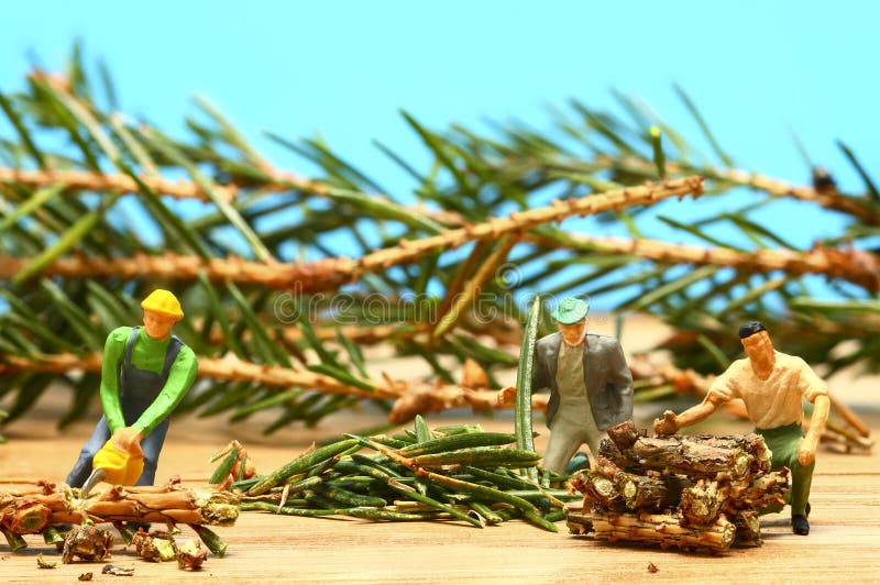 Conceptual image of miniature figure people cutting up a christmas spruce tree recycling or deforestation concept. Conceptual image of miniature figure people cutting up a christmas spruce tree recycling or deforestation concept