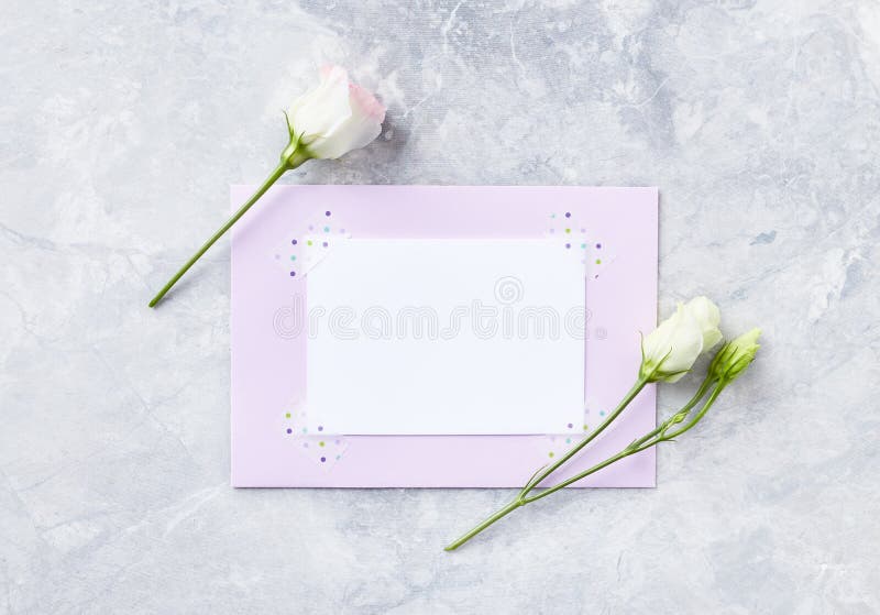 Eine Anordnung für Blumen und Grußkarte auf grauem Steinhintergrund lizenzfreie stockfotografie