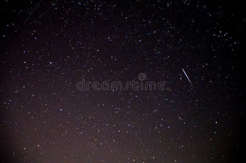 Eine Ansicht der Sterne der Milchstraße mit Bäume im Vordergrund Perseid-Meteorschauer lizenzfreies stockfoto Eine Ansicht der Sterne der Milchstraße mit Bäume im Vordergrund Perseid-Meteorschauer lizenzfreies stockfoto