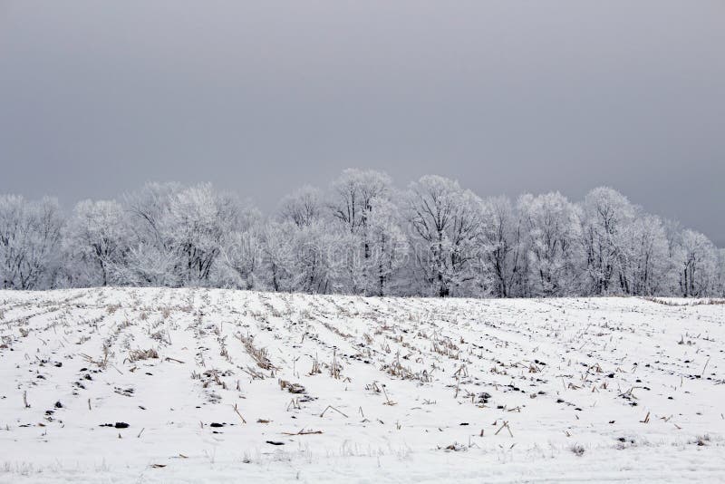 Eine Bauernhof-Feld-Winter-Landschaft lizenzfreies stockfoto Eine Bauernhof-Feld-Winter-Landschaft lizenzfreies stockfoto