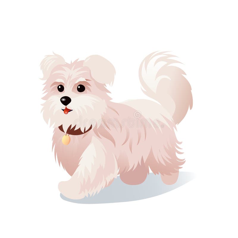 Eine charmante Vektorgrafik eines flauschigen weißen Hundes mit einem wankenden Schwanz und einem Kragen mit einem kleinen goldene vektor abbildung