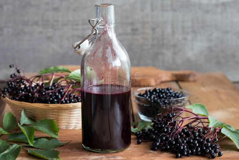 A bottle of homemade elderberry syrup on a wooden table, with fresh elderberries in the background. A bottle of homemade elderberry syrup on a wooden table, with fresh elderberries in the background