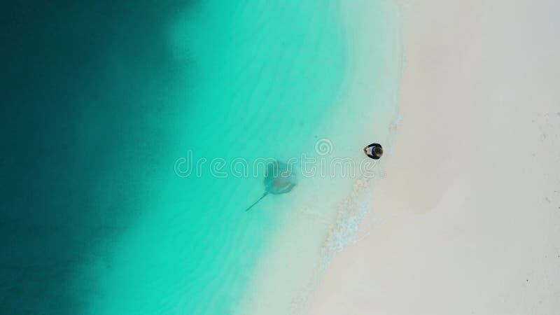 Eine Frau, die auf der Insel Fulidhoo in den Malediven einen Steg auf einem weißen Sandstrand mit türkisfarbenem Ozean nährt. Luft stock video footage