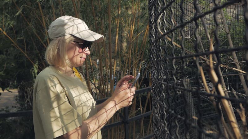 Eine Frau im Zoo, die neben dem Käfig steht, verwendet eine Smartphone-Kamera.