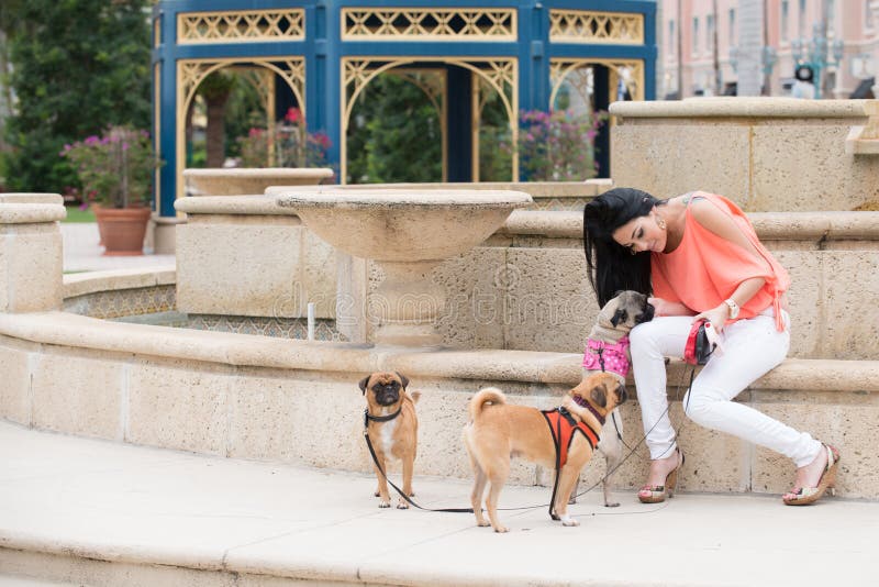 Eine Frau und drei Hunde stockfoto. Bild von barke, freund 29553234