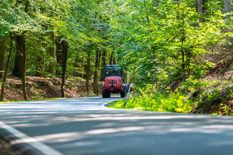 Eine gefährliche Landstraße in einem Wald des Rens gerade so ausgießend in Deutschland lizenzfreie stockbilder Eine gefährliche Landstraße in einem Wald des Rens gerade so ausgießend in Deutschland lizenzfreie stockbilder