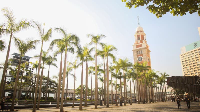 Eine grüne Gasse von Palmen in Hong Kong Der berühmte Turm mit einer Uhr Architekturanblick der Stadt und der Straße lizenzfreies stockfoto Eine grüne Gasse von Palmen in Hong Kong Der berühmte Turm mit einer Uhr Architekturanblick der Stadt und der Straße lizenzfreies stockfoto