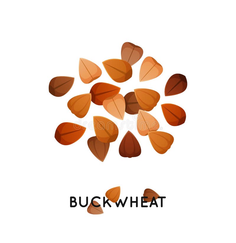 Eine Handvoll des Buchweizensamens Landwirtschaftskulturbuchweizen sät Ikone Getreidebuchweizenillustration vektor abbildung Eine Handvoll des Buchweizensamens Landwirtschaftskulturbuchweizen sät Ikone Getreidebuchweizenillustration vektor abbildung