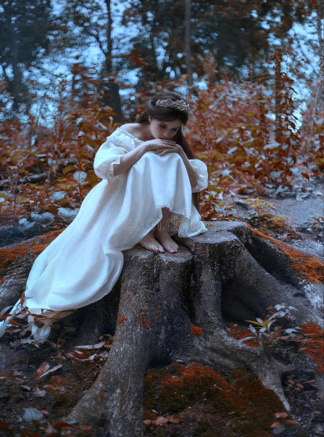 Eine junge, traurige Prinzessin mit dem sehr langen Haar sitzt auf einem großen Stumpf eines alten Baums und wartet auf ihren Pri stockfotos Eine junge, traurige Prinzessin mit dem sehr langen Haar sitzt auf einem großen Stumpf eines alten Baums und wartet auf ihren Pri stockfotos