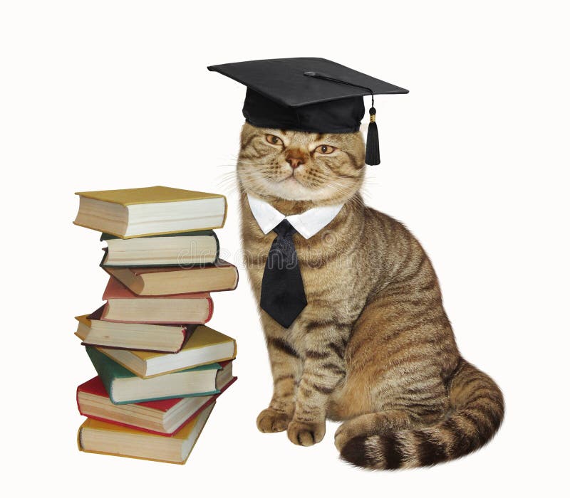 Eine Katze und Bücher stockfotos Eine Katze und Bücher stockfotos