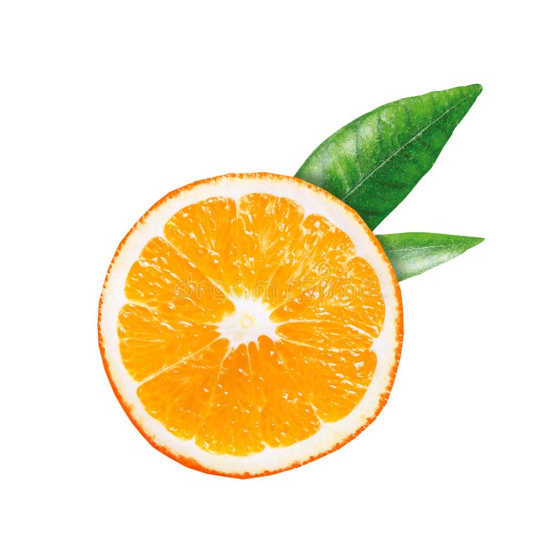 Eine Orange mit zwei grünen Blättern. tropische Zitrusfrüchte, halbiert. Fruchtorange. lizenzfreie stockfotos