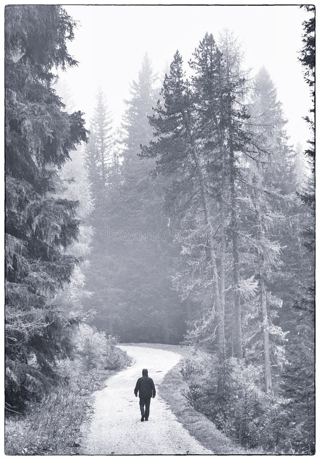 Eine Person geht im Wald allein an einem nebeligen Tag