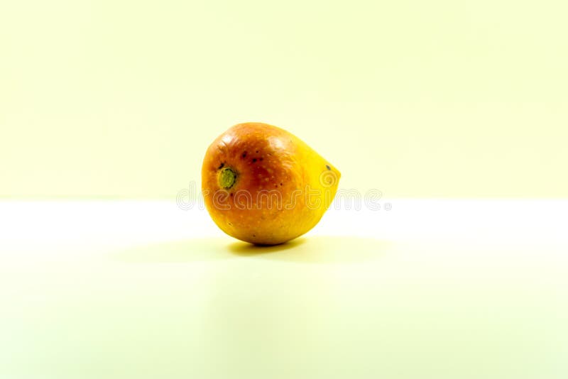 Eine reife Mango nutzt Ihre Erfahrung mit Produkten wie Pfirsiche oder Avocados lizenzfreie stockbilder