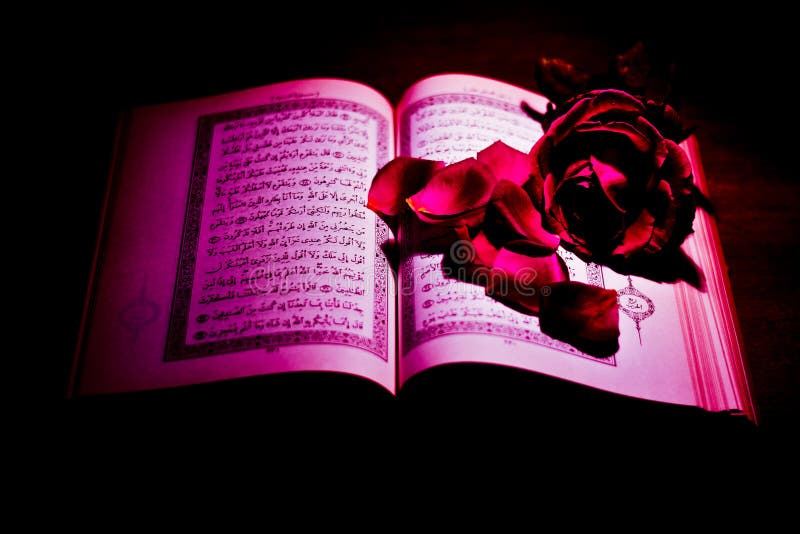 Islam rote rose bedeutung Bedeutung der