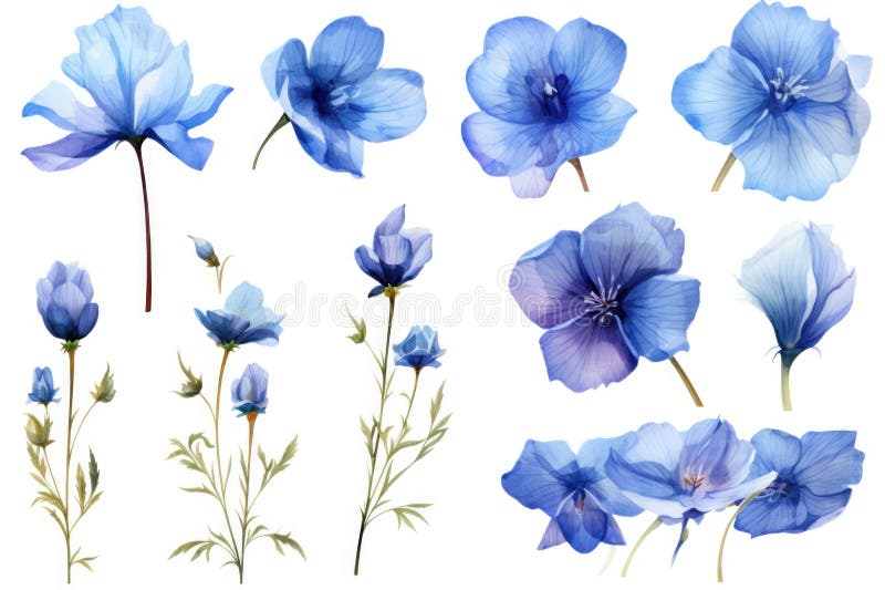 Eine Sammlung blauer Blumen auf weißem Hintergrund. Kann für verschiedene Zwecke verwendet werden stockbild