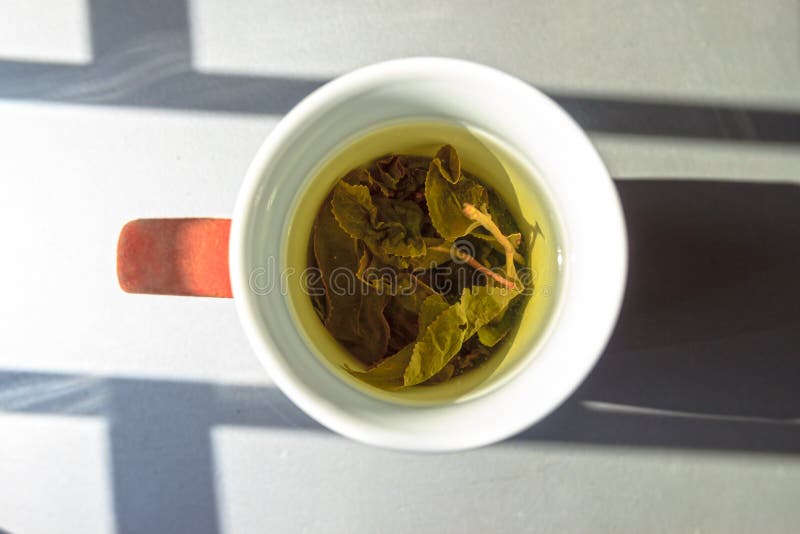 Eine Schale grüner Tee im natürlichen Lightining stockfotografie Eine Schale grüner Tee im natürlichen Lightining stockfotografie