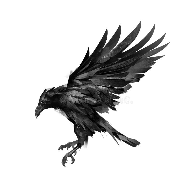 Eine Skizze eines Fliegens zeichnend, schwärzen Sie Krähe auf einem weißen Hintergrund lizenzfreie stockfotografie Eine Skizze eines Fliegens zeichnend, schwärzen Sie Krähe auf einem weißen Hintergrund lizenzfreie stockfotografie