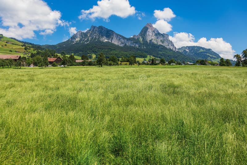Eine Sommerzeitansicht in den Schweizer Kanton Schwyz lizenzfreies stockfoto Eine Sommerzeitansicht in den Schweizer Kanton Schwyz lizenzfreies stockfoto