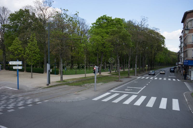 Eine Straße gezeichnet mit Bäumen in Brüssel lizenzfreie stockfotos Eine Straße gezeichnet mit Bäumen in Brüssel lizenzfreie stockfotos