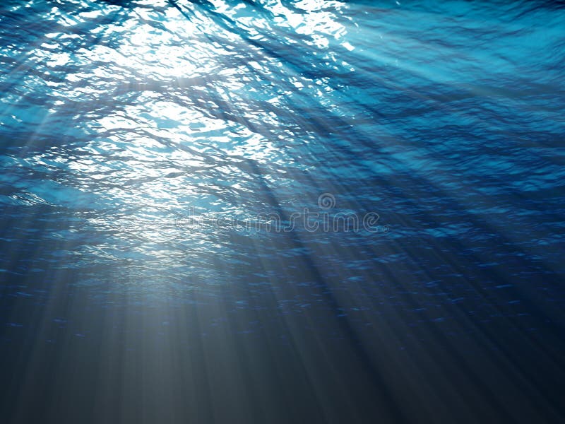 Eine Unterwasserszene lizenzfreie stockfotos Eine Unterwasserszene lizenzfreie stockfotos