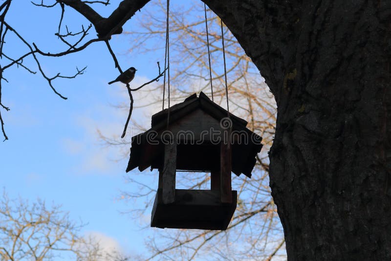 Eine Vogelzufuhr, die an einem Baum unter Verwendung der Schnüre und eines hungrigen Vogelkohlmeise Parusmajors hängt, sitzt auf lizenzfreie stockbilder Eine Vogelzufuhr, die an einem Baum unter Verwendung der Schnüre und eines hungrigen Vogelkohlmeise Parusmajors hängt, sitzt auf lizenzfreie stockbilder