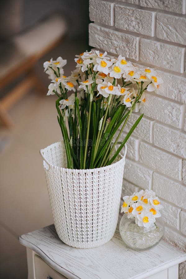 Eine weiße und orange schöne Blume lizenzfreie stockbilder Eine weiße und orange schöne Blume lizenzfreie stockbilder