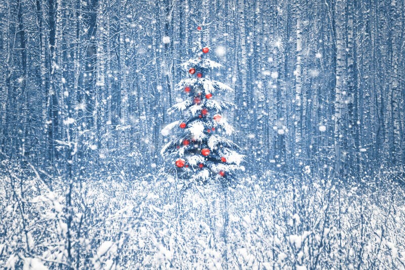 Einsame Blautanne mit roten Weihnachtsdekorationen in einem Wald des verschneiten Winters