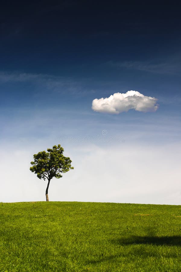 Einsamer Baum lizenzfreie stockfotografie