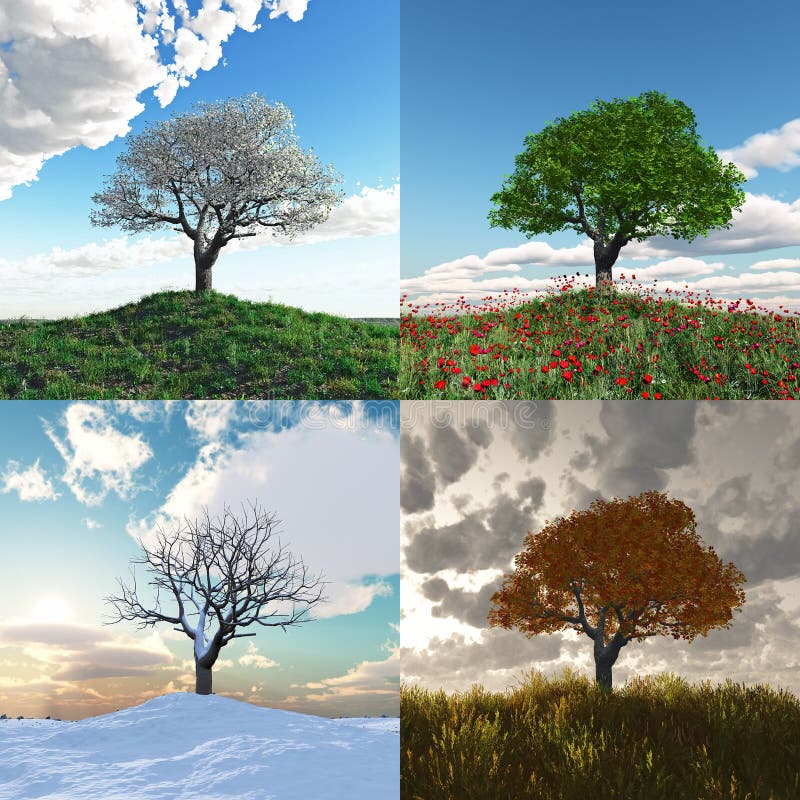 Einsamer Baum bei Zeitspanne mit vier Jahreszeiten vektor abbildung