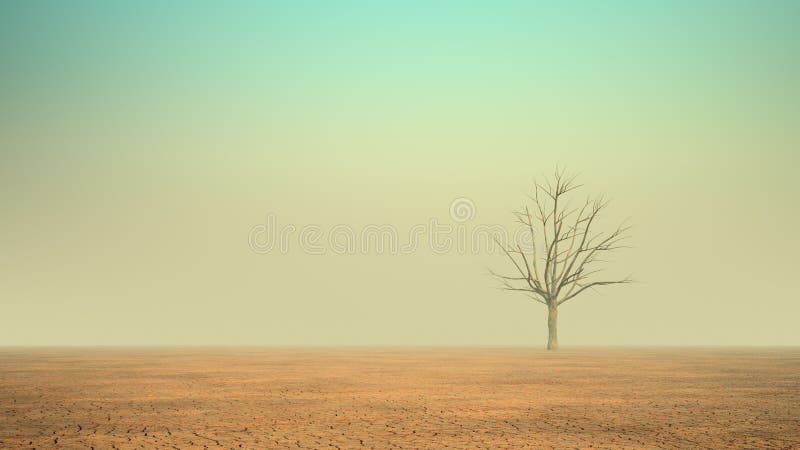 Einsamer Baum in der Wüste stockfotografie