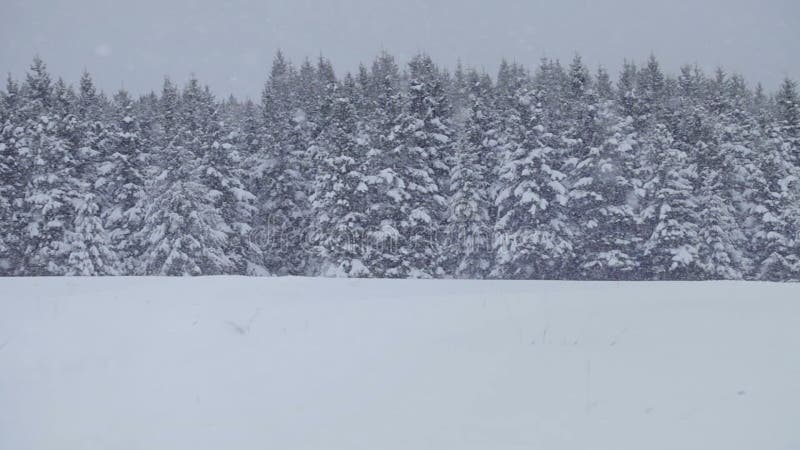 Einsamer Mann, der im Pulver-Schnee Schneemobil ist