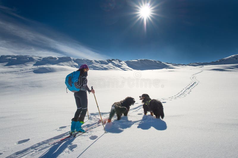 Einsames Mädchen in den Bergen mit den Reisenund zwei Hunden des Skis stockfotografie Einsames Mädchen in den Bergen mit den Reisenund zwei Hunden des Skis stockfotografie
