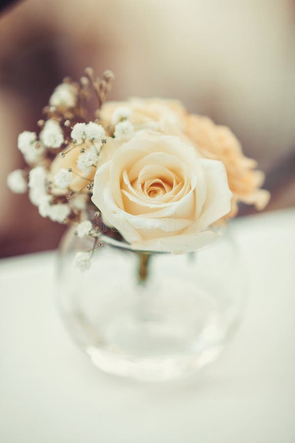 Einzelne Blume der Weißrose im runden Glasvase auf dem Tisch Blumendekorelemente Konzept für romantische Grußkarte stockbilder Einzelne Blume der Weißrose im runden Glasvase auf dem Tisch Blumendekorelemente Konzept für romantische Grußkarte stockbilder