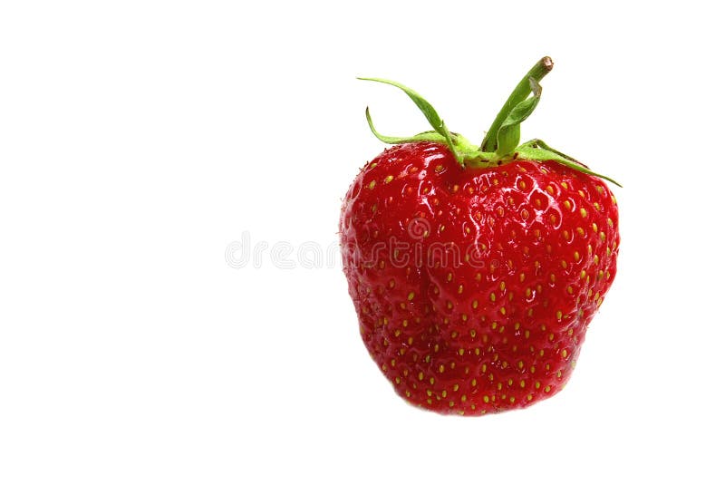 Einzelne Erdbeere stockfotografie Einzelne Erdbeere stockfotografie
