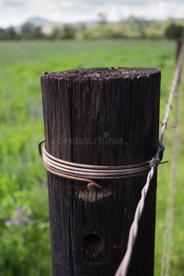 Einzelner Bretterzaunbeitragsabschluß oben in der ländlichen Einstellung lizenzfreie stockfotografie Einzelner Bretterzaunbeitragsabschluß oben in der ländlichen Einstellung lizenzfreie stockfotografie