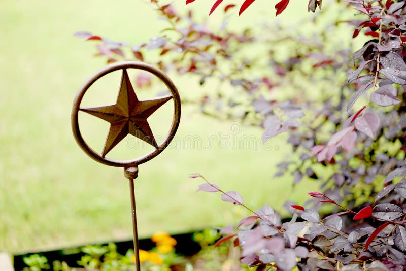 Einzige Sterngartenkunst lizenzfreie stockfotos Einzige Sterngartenkunst lizenzfreie stockfotos