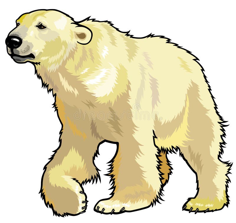 clipart kostenlos eisbär - photo #12