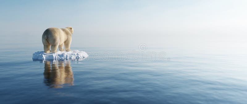 Eisbär auf Eisscholle. schmelzender Eisberg und globale Erwärmung