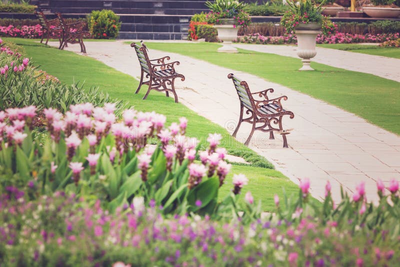 Eisenbank in einem Park stockfoto. Bild von garten