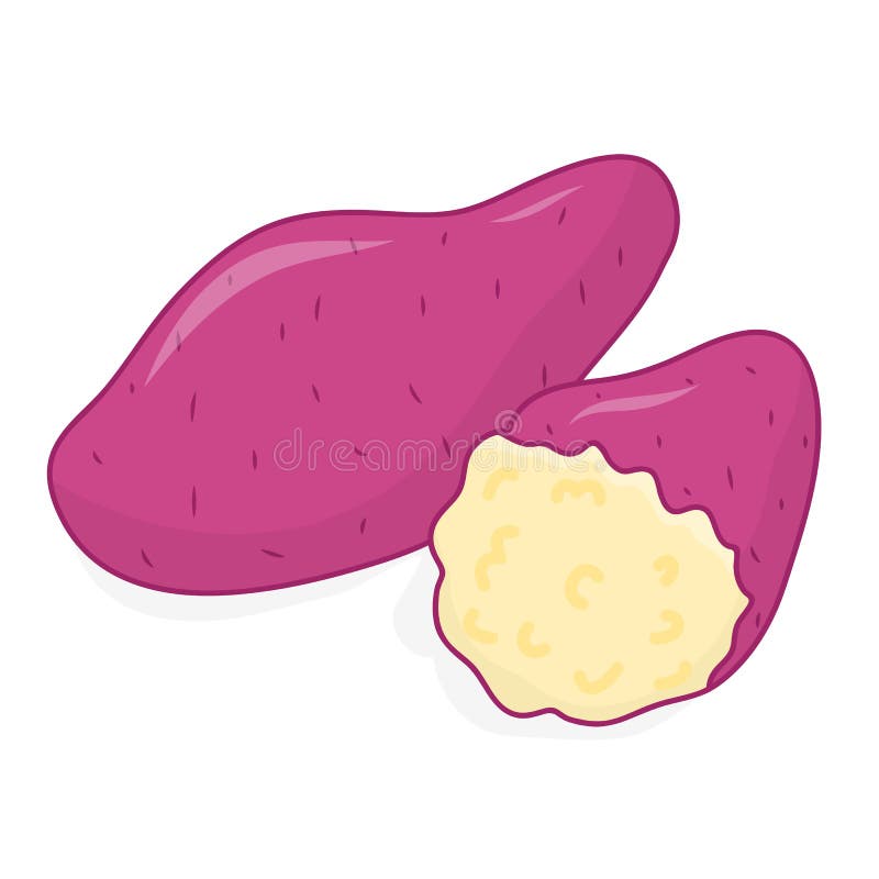 Ejemplo aislado de la patata dulce libre illustration Ejemplo aislado de la patata dulce libre illustration