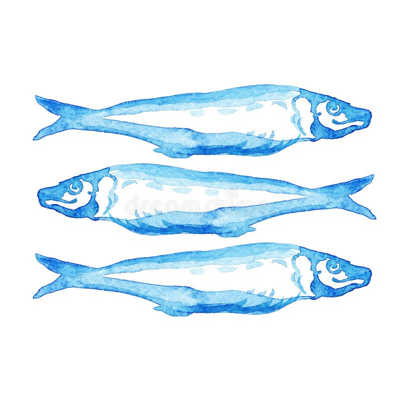 Ejemplo azul exhausto de la acuarela de la mano al grupo de pescados atlánticos de la caballa en el fondo blanco libre illustration Ejemplo azul exhausto de la acuarela de la mano al grupo de pescados atlánticos de la caballa en el fondo blanco libre illustration