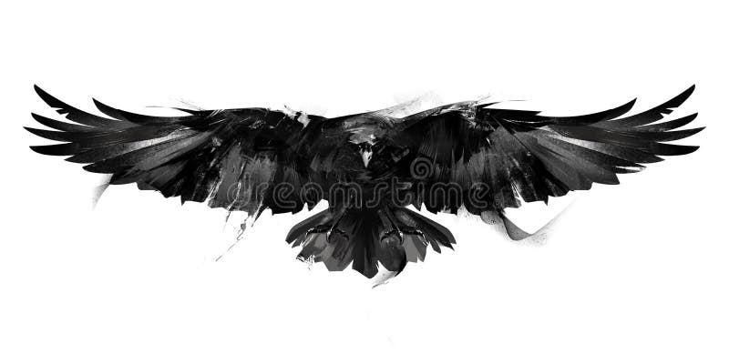 Ejemplo blanco y negro aislado de un frente del cuervo del pájaro de vuelo libre illustration Ejemplo blanco y negro aislado de un frente del cuervo del pájaro de vuelo libre illustration