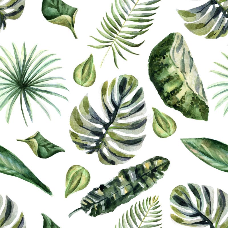 Ejemplo brillante del verano de la acuarela con las flores tropicales ilustración del vector Ejemplo brillante del verano de la acuarela con las flores tropicales ilustración del vector