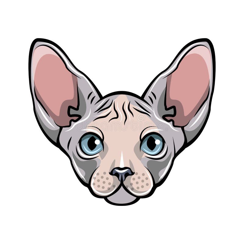 Ejemplo colorido de una cara del gato s Gato sin pelo blanco de Sphynx ilustración del vector Ejemplo colorido de una cara del gato s Gato sin pelo blanco de Sphynx ilustración del vector