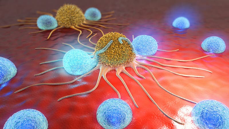 ejemplo 3d de células cancerosas y de linfocitos ilustración del vector ejemplo 3d de células cancerosas y de linfocitos ilustración del vector